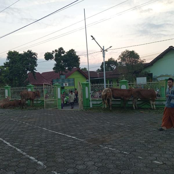 Foto: Autad/Alif.id