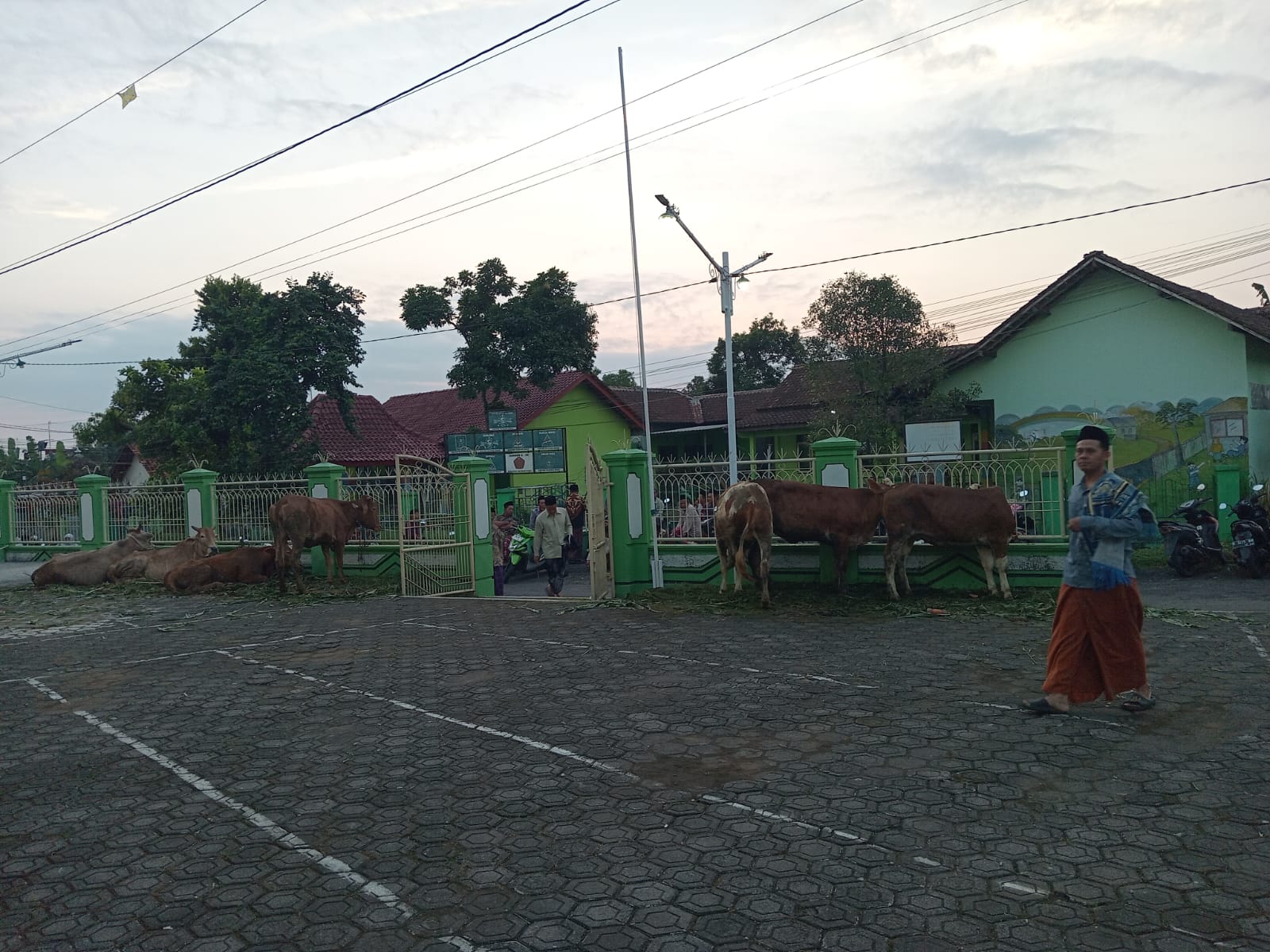 Qurban: Ketika Akal Bersujud kepada Wahyu