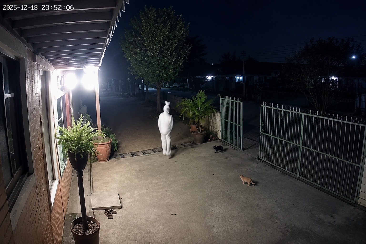 Pocong, Hoaks, dan Budaya Ketakutan
