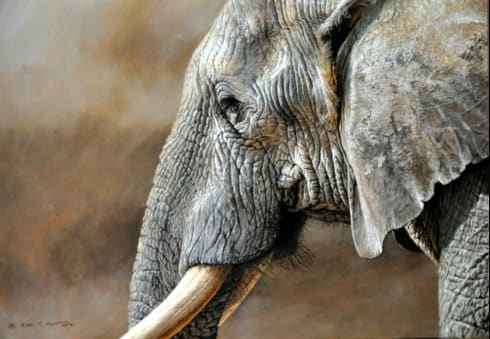 Al-Matsnawi Rumi: Perilhal Gajah dan Reduksi Pengetahuan