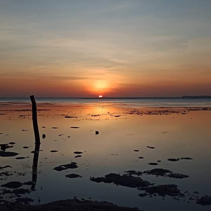 Menyelami Dering Keheningan