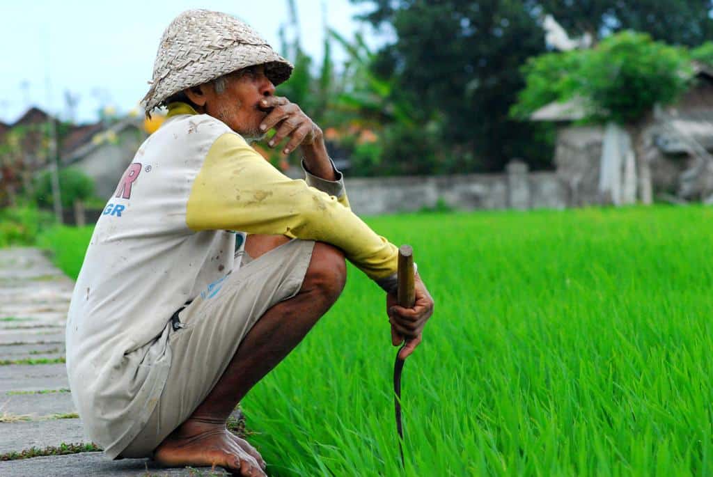 Wakaf sebagai Jalan Reforma Agraria (2/3)
