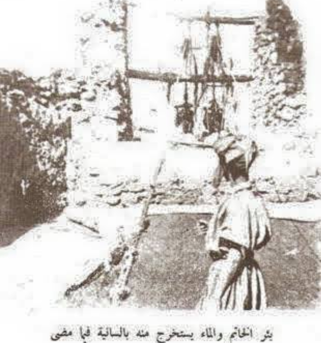 Sumur Aris (2): Isyarat Suksesi al-Khulafa ar-Rasyidun