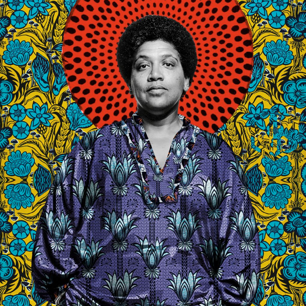 Audre Lorde, Feminis Amerika dan Aktivis Hak Asasi Manusia
