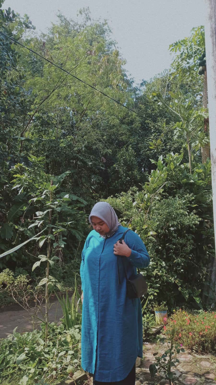Dian Paulina