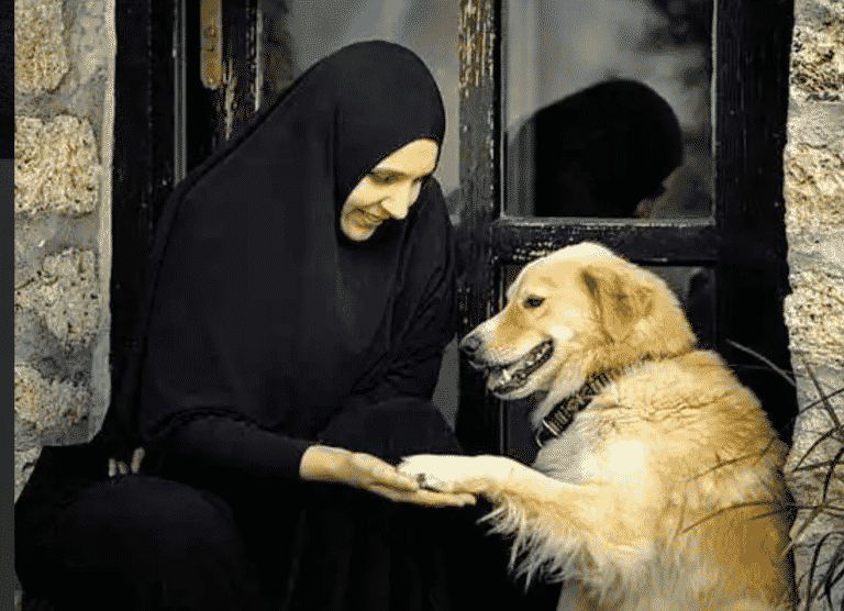  Anjing  dalam Masyarakat Arab  Dipelihara Istri Nabi hingga 