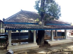 Makam Ki Ageng Mantup Dan Pohon Tanjung