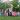 Img 20250605 Wa0011